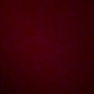 Meet your Posher, Will